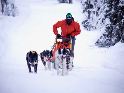 The Arctic. A place for intrepid & curious