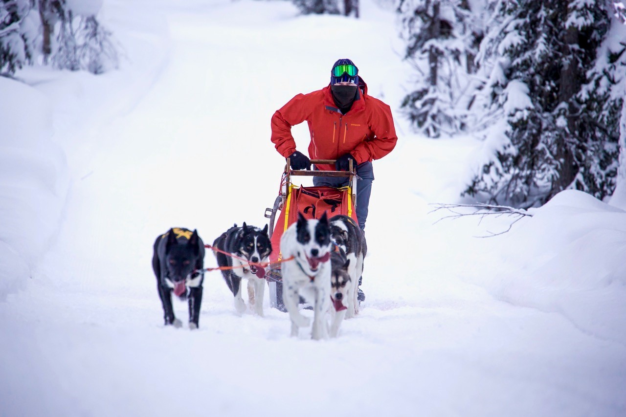 The Arctic. A place for intrepid & curious